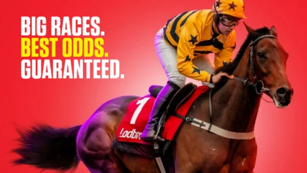 Best odds 
